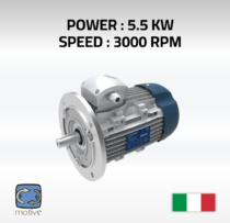 Three phase motor DELPHI 132SA-2 - MOTIVE