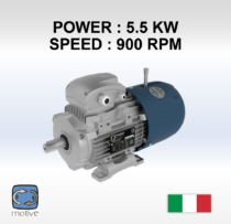 Three phase motor- BRAKING MOTORS -DELPHI 132MB-6 - MOTIVE